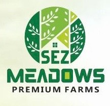 Farmhouse plot in fully developed gated township