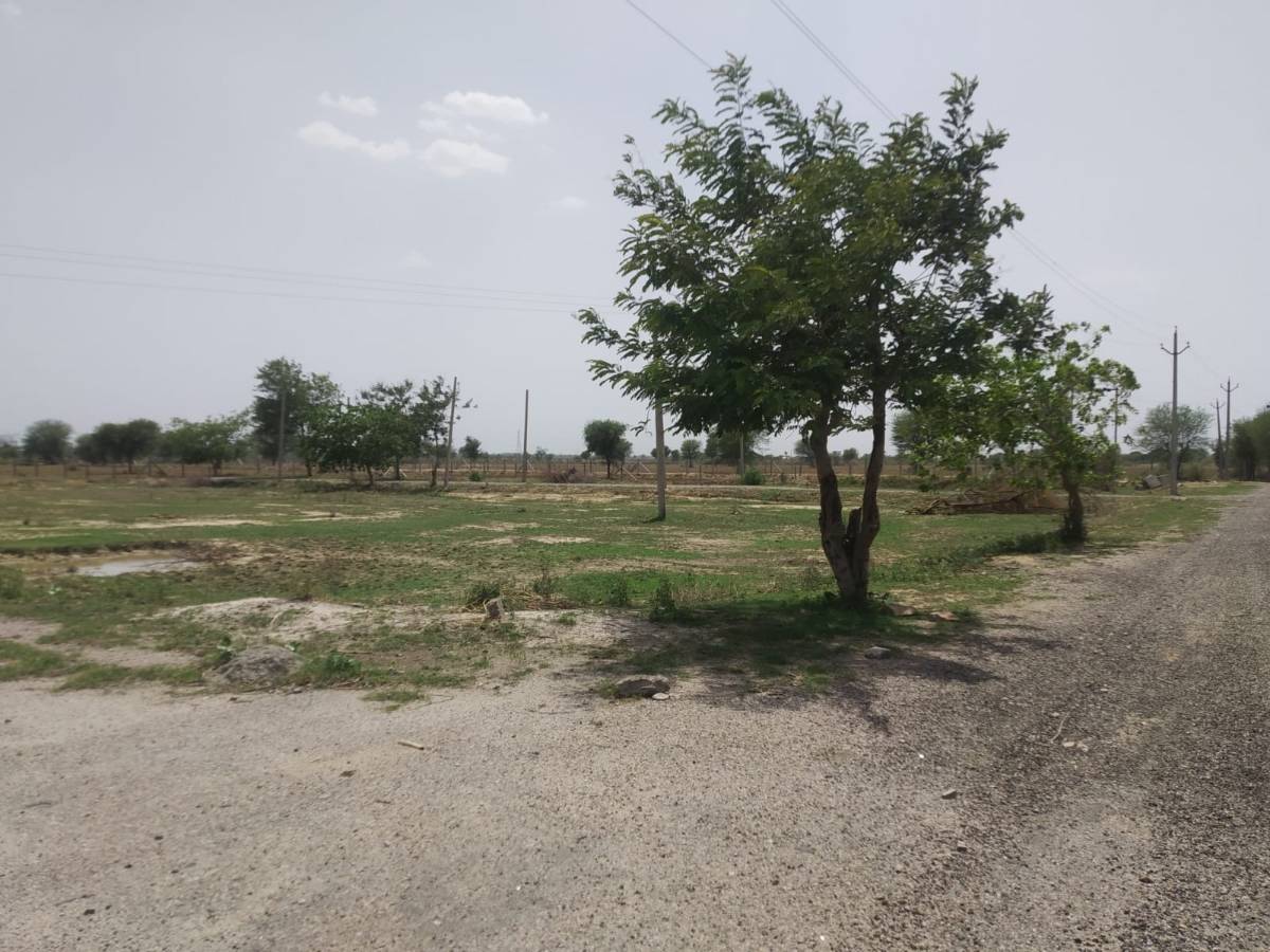 Urgent sale Jaipur prime location plots only 10500 rs square yard me 