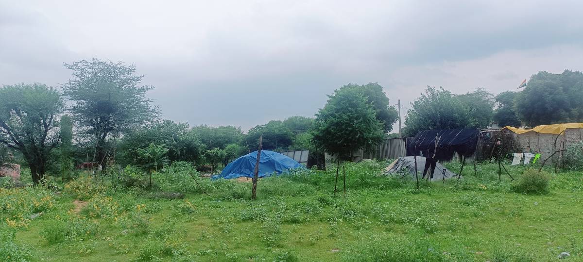 100 गज प्लॉट @ मोटू का बास, राजावास, सीकर रोड 